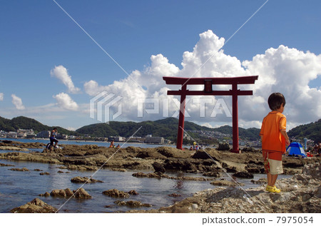 兒童和森人神社的鳥居風景 7975054