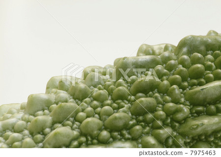 苦瓜的果實 7975463