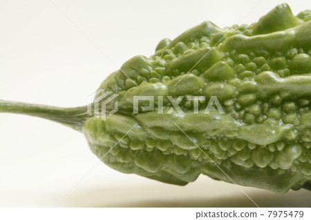 Fruit of bitter gourd 7975479
