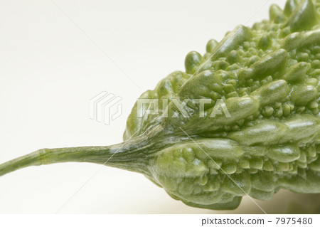 Fruit of bitter gourd 7975480