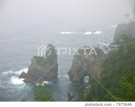 Kitayamasaki that is blighted in Iwate prefecture 7975646