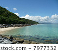 Yambaru山和海在沖繩島 7977332