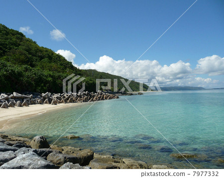 Mountains and seas of Yambaru in Okinawa Mountains and seas of Yambaru in Okinawa 7977332