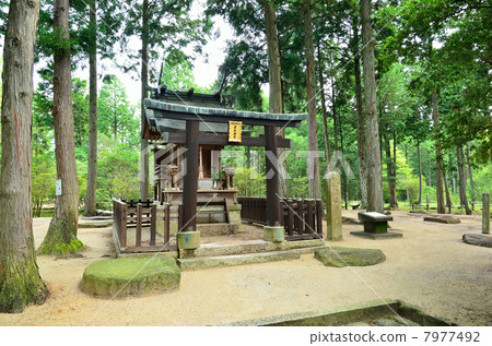 Murasaki Ruins 7977492