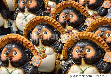 Shigaraki Shigaraki 7977500