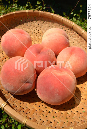 A delicious peach in a basket 02 A delicious peach in a basket 02 7977524