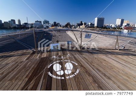 Yokohama view point Yokohama view point 7977749