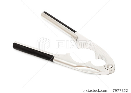 new nutcracker 7977852