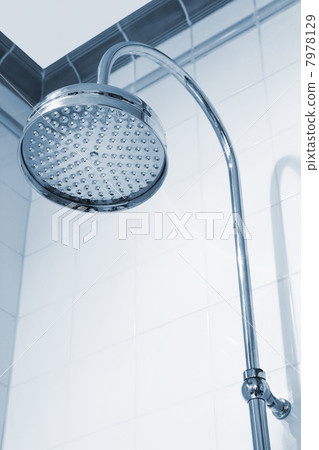 shower 7978129
