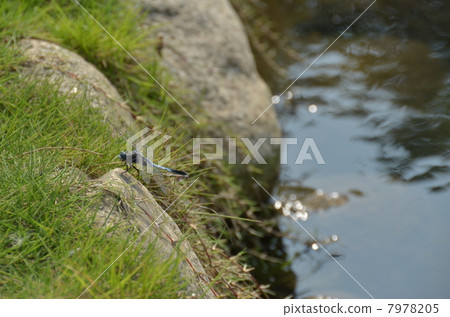 鹽卡拉通博 鹽卡拉通博 7978205