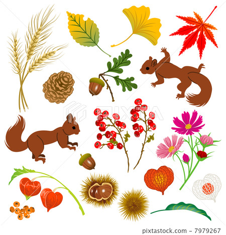 秋季材料/ Kinen /松鼠 7979267