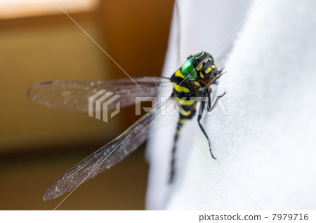 Onyangma obliquely from above 7979716