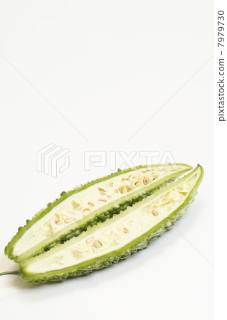 苦瓜的含量 7979730