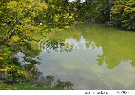 Sen-dong Imperial Palace Garden 7979853