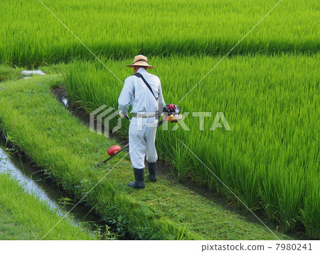 割草大師 7980241