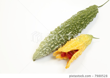 成熟的漿果 7980528