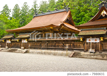 熊野主神社(田邊市本町/和歌山縣)的主要的神社 熊野主神社(田邊市本町/和歌山縣)的主要的神社 7980631