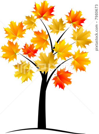 Maple tree, autumn leaf,vector Maple tree, autumn leaf,vector 7980673