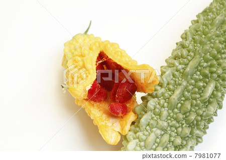 Mature berry fruit 7981077