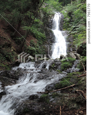 Yakko沒有瀑布 7981770