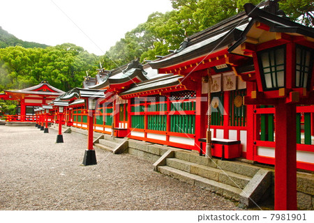 在Kumano Hayatake Taisei神社(和歌山縣新宮市)的區域內 在Kumano Hayatake Taisei神社(和歌山縣新宮市)的區域內 7981901
