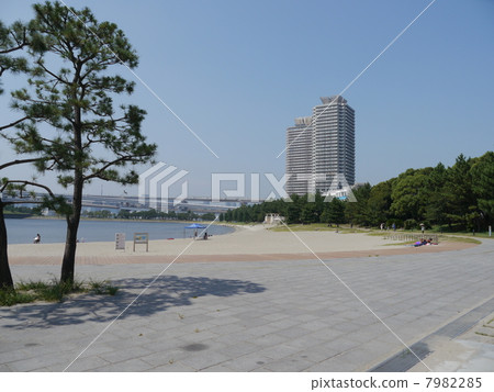 台場 7982285