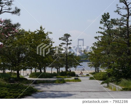 台場 7982286