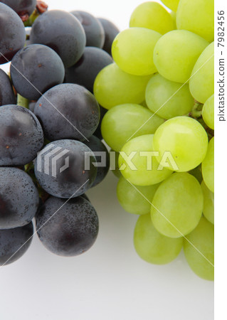 葡萄富士和島根女王 葡萄富士和島根女王 7982456