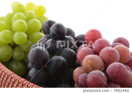 Grape Akane Queen，Fujibatori和Shimane Queen 7982468