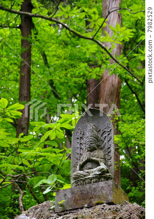 Senju Kaneko Senju Kaneko 7982529