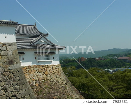 Tsuruyama Park (Tsuyama Castle Ruins) 7982881