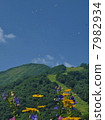 Paragliding 7982934