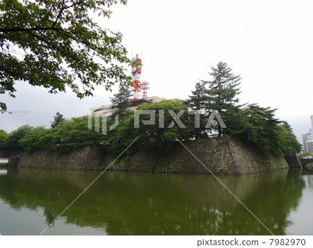 福井城遺址石垣 7982970