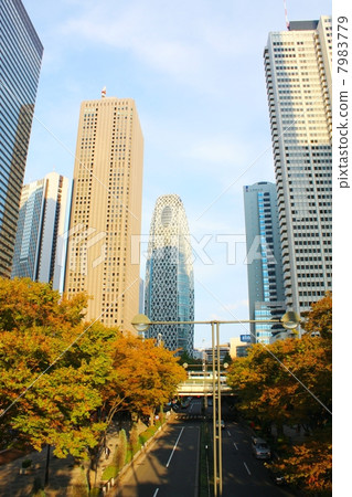 Shinjuku Fukutoshin (Central Street) 7983779