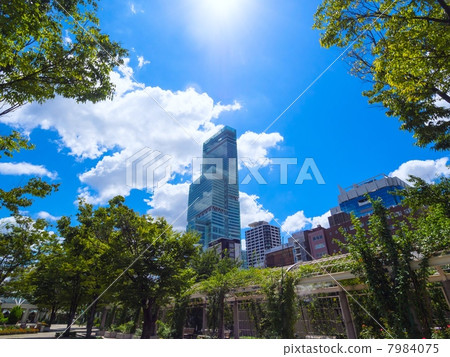 Abeno Harukasu and Tennoji Park Abeno Harukasu and Tennoji Park 7984075