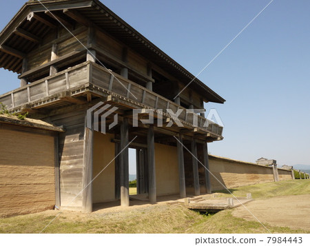 Shibusagi 01 Shibusagi 01 7984443