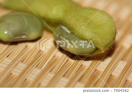 Edamame Edamame 7984562