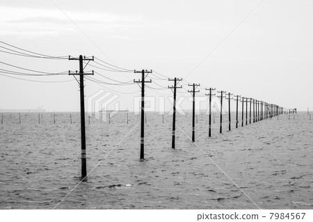 站立在海的電報 7984567