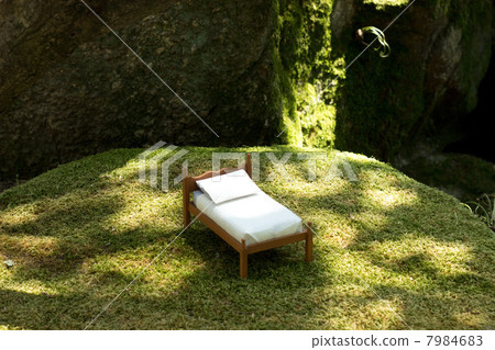 Siesta in the forest 7984683