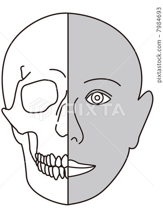 Facial structure 7984693