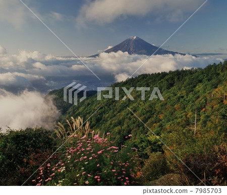 三通富士山 7985703