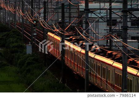 Going home Going home 7986114