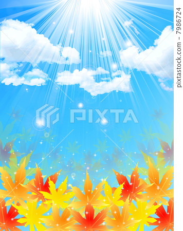槭樹秋葉背景 7986724