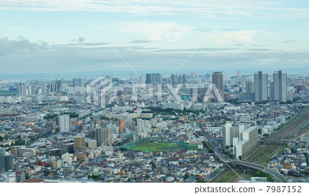 城市景觀·橫跨橫須賀線的府中路·武藏武藏高原的水平位置 7987152