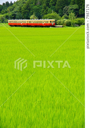 Kominato鐵路 Kominato鐵路 7987176