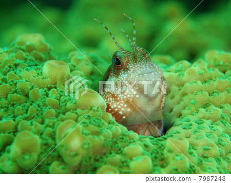 Our house Our house 7987248