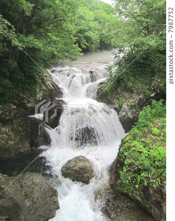 Miki Falls Masataki先生2 7987752
