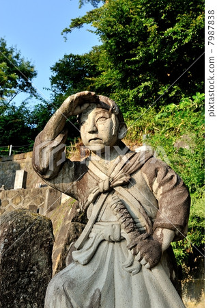 White tiger corps 7987838