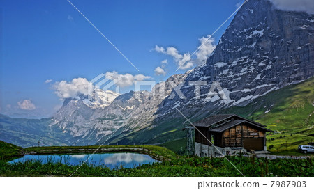 Alps Alps 7987903