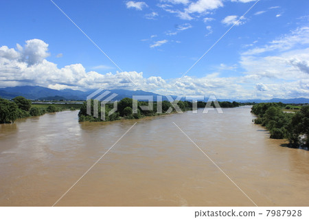 Mogami river in Hebei Town (the next day after recordable heavy rain) 7987928